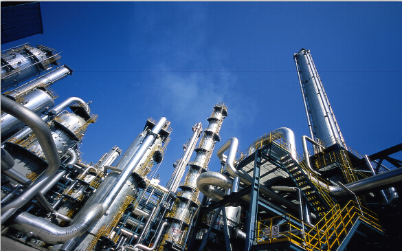 2019�Ї�(gu��)�x���x��W(xu��)��(hu��)�W(xu��)�g(sh��)���(hu��)�ھ�¡���e�k