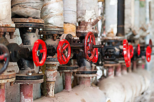 ��Ό��y�T�M���ճ��S�o�������@����������